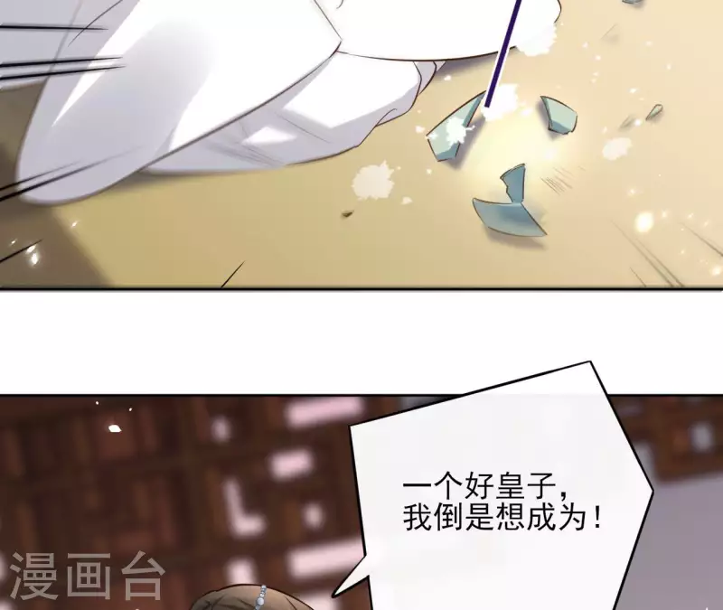 第104话 九皇子的愤恨 第26页