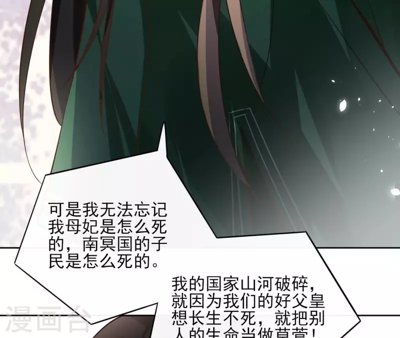 第104话 九皇子的愤恨 第28页