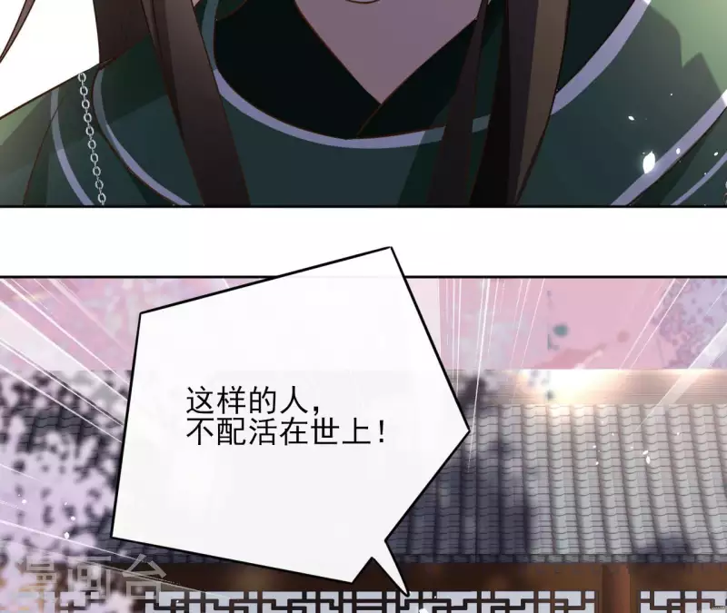 第104话 九皇子的愤恨 第30页