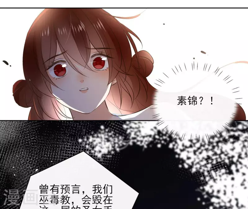 第104话 九皇子的愤恨 第47页