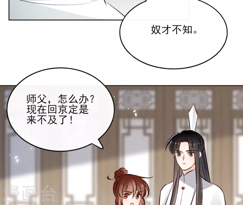 第119话 真假三皇子 第49页