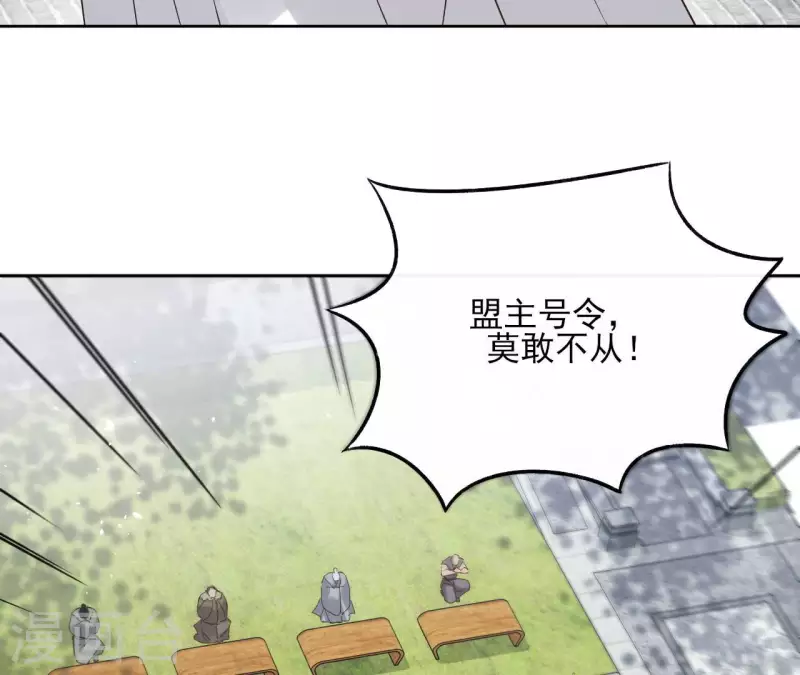 第137话 重登盟主之位 第29页