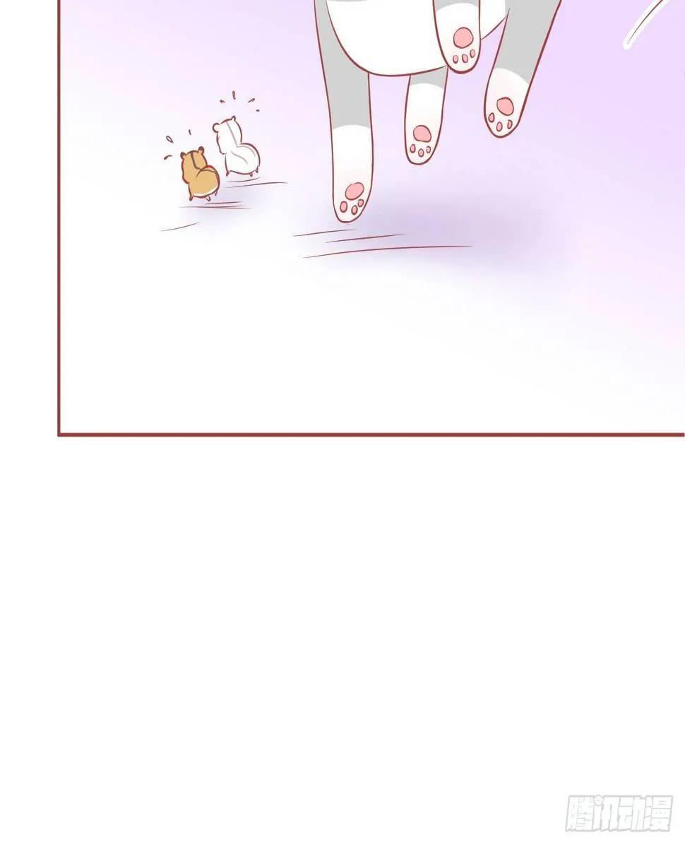 15.鼠鼠越狱指南 第16页