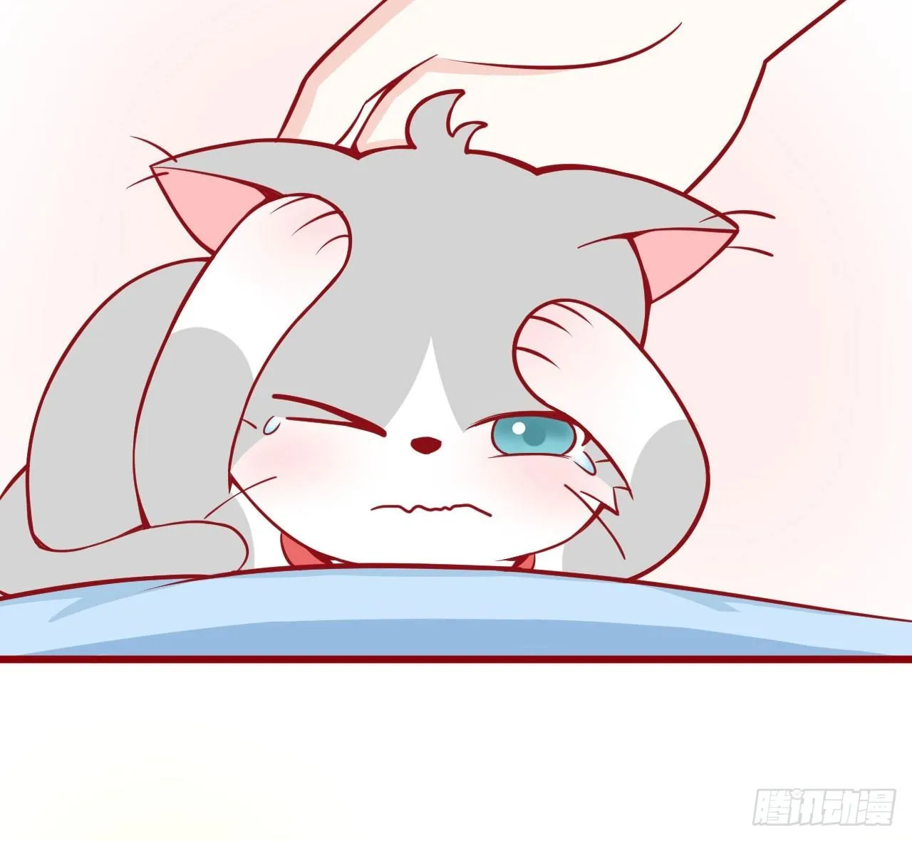 02.错误安抚猫咪的姿势 第27页