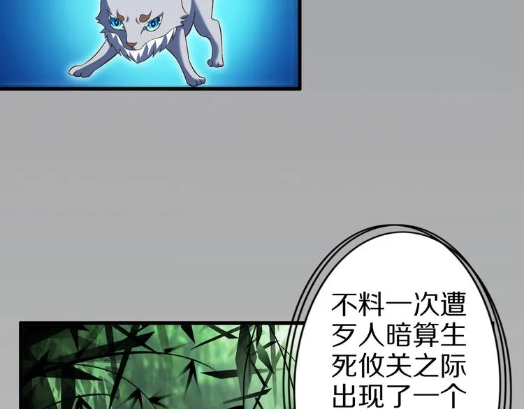 第52话 接任掌门？ 第82页