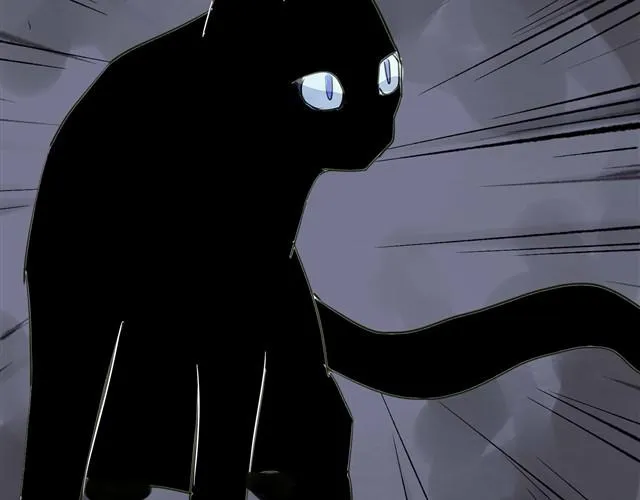 第3话 黑猫居然是个少年 第8页