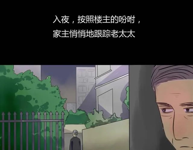 第3话 黑猫居然是个少年 第15页