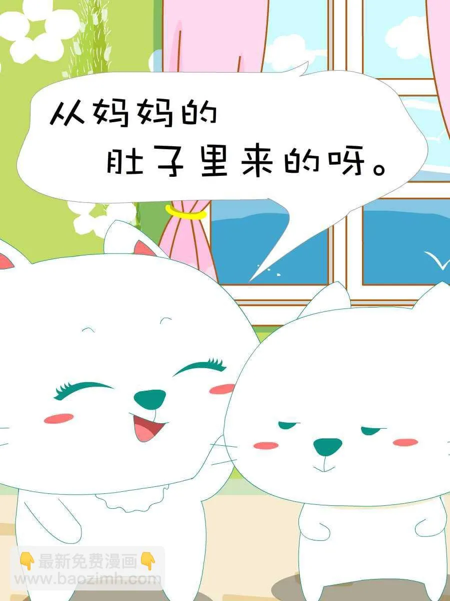 笨笨猫 第9集 第35页