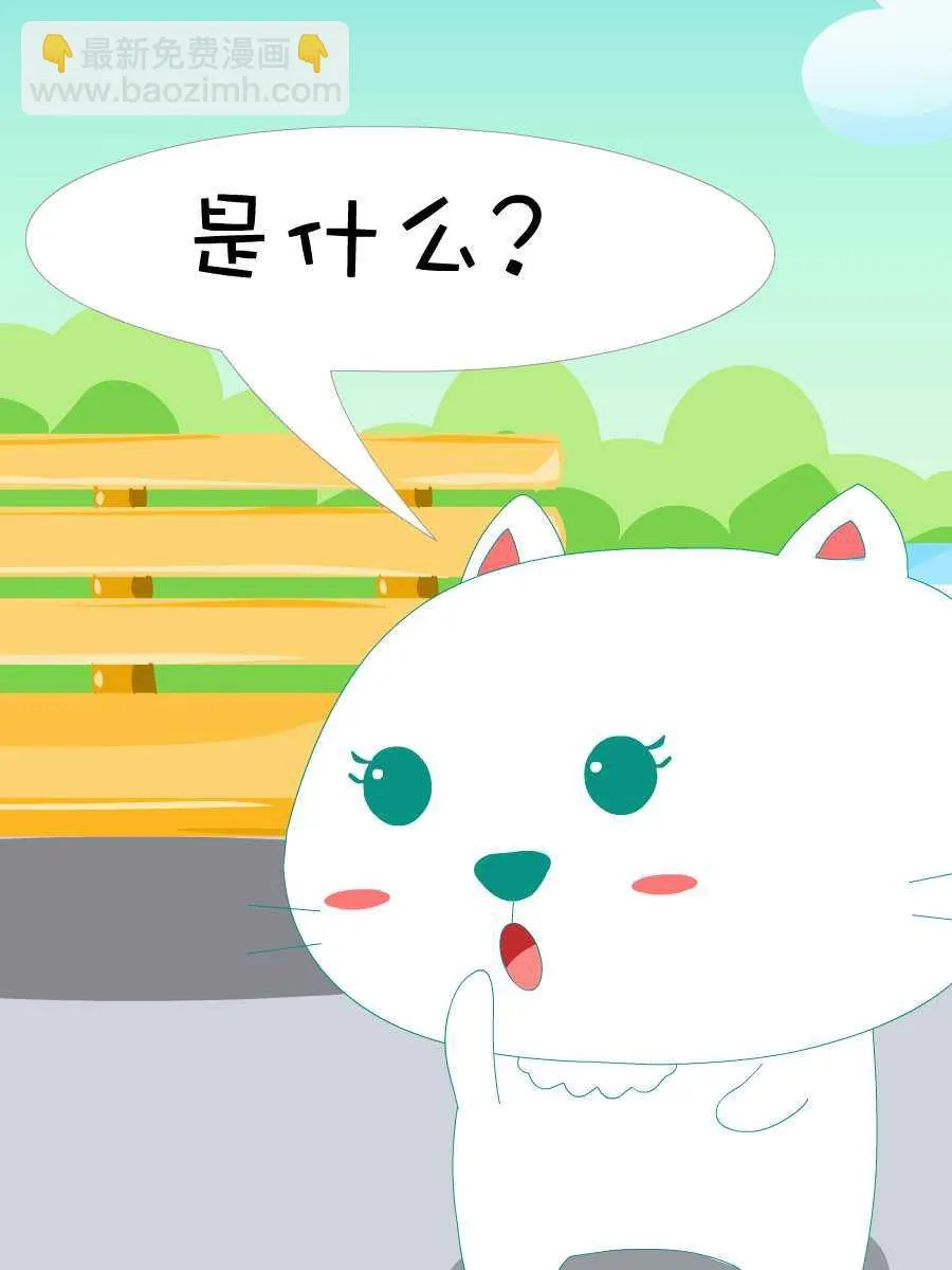 笨笨猫 第3集 第30页
