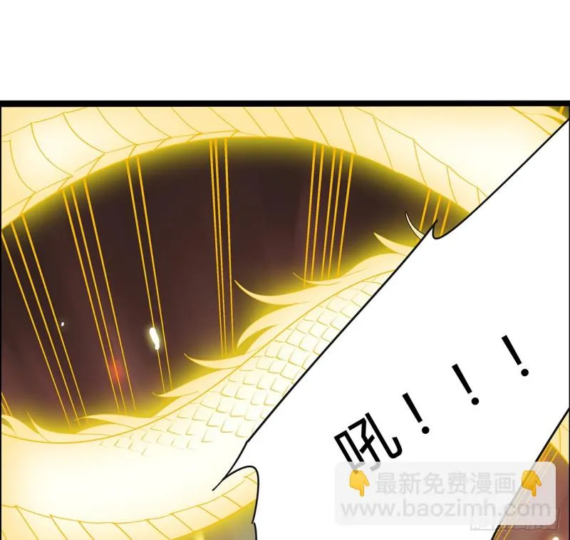 67话 人龙仇怨 第7页