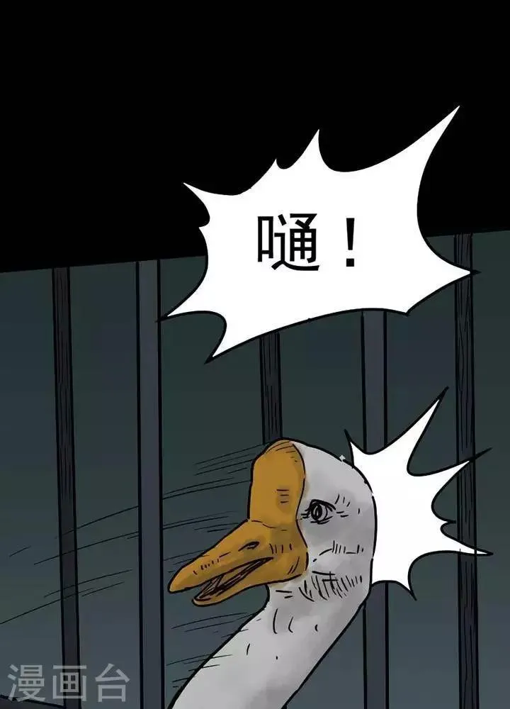 第52话 第19页