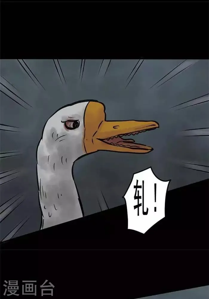 第58话 第10页