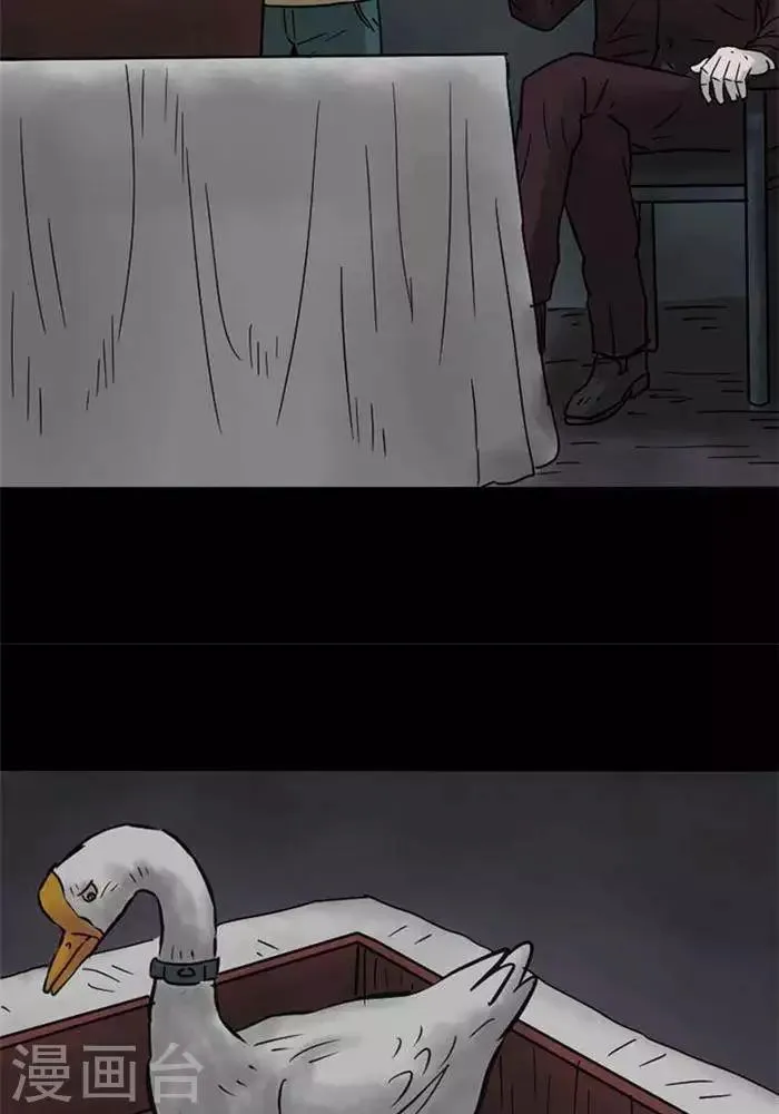 第58话 第19页