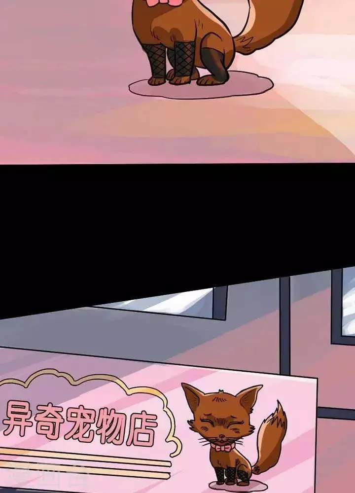 第68话 第4页