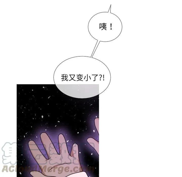 62 第16页