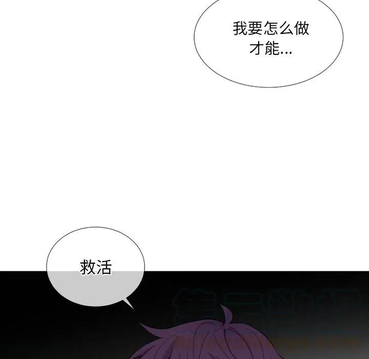 61 第34页