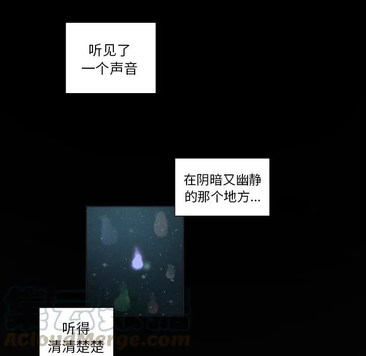 56 第25页