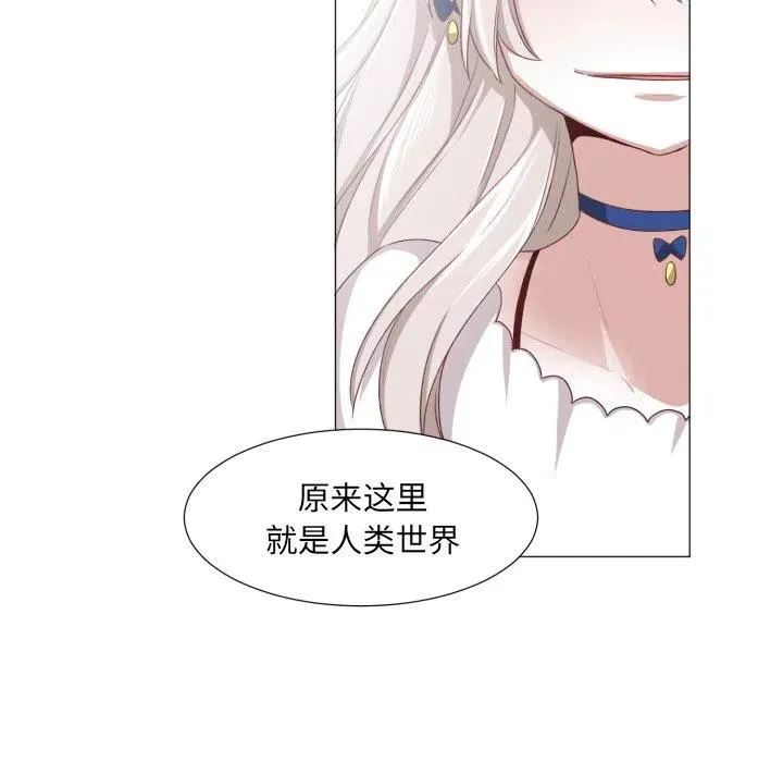 48 第51页