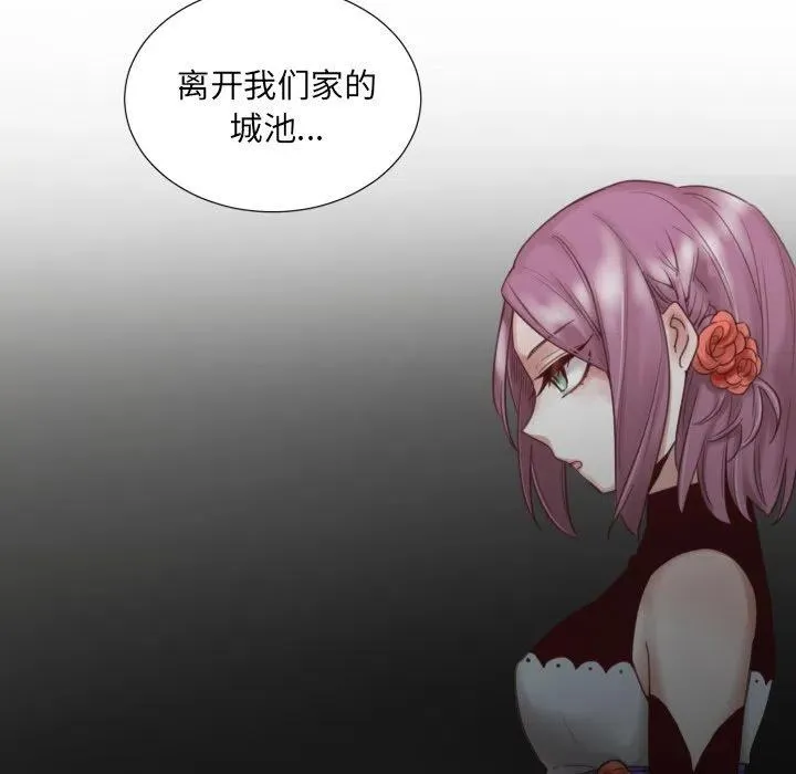 46 第23页
