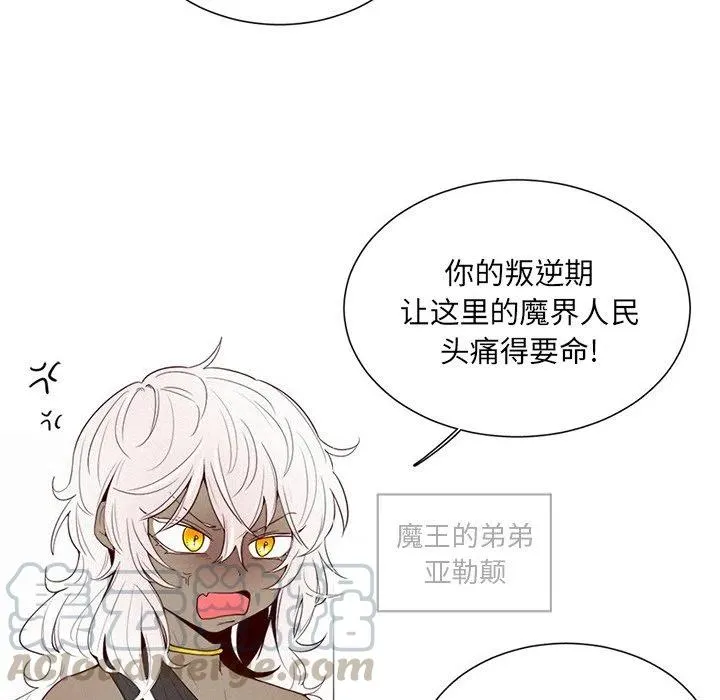 43 第13页