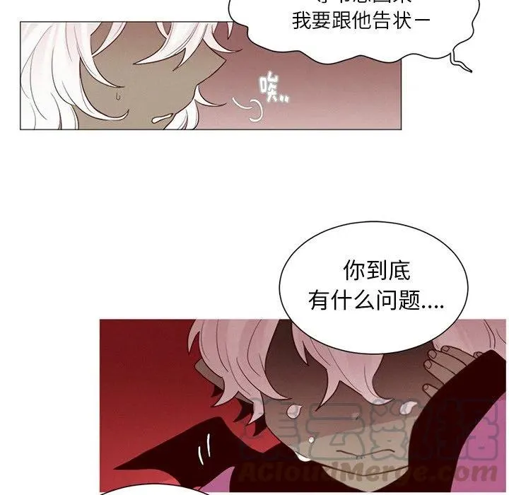 43 第19页