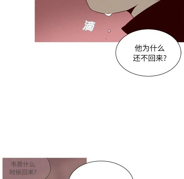 43 第24页