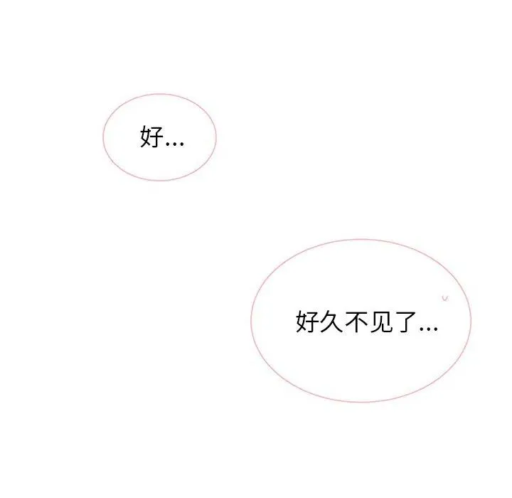 43 第41页