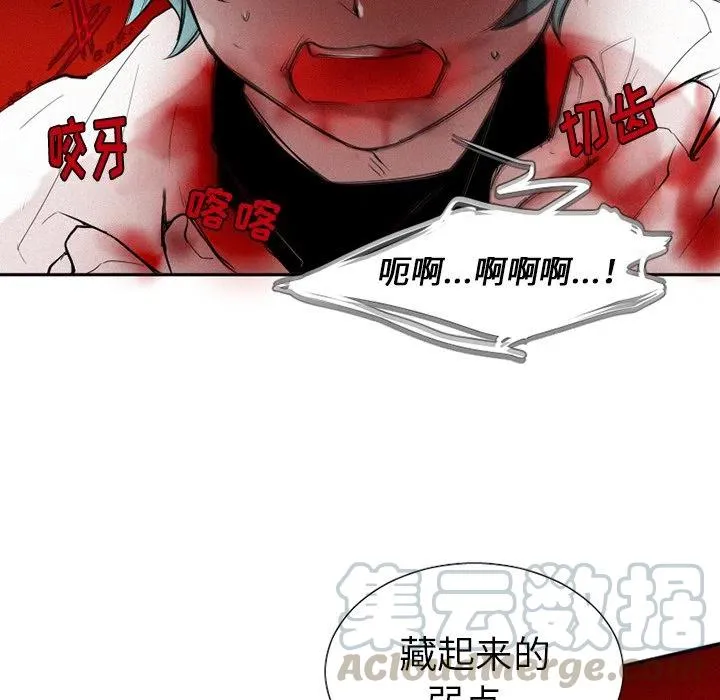 41 第25页