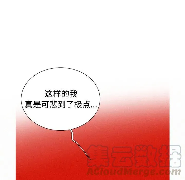 41 第28页