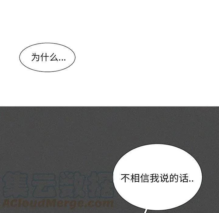 41 第31页