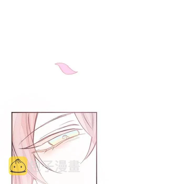 41 第45页