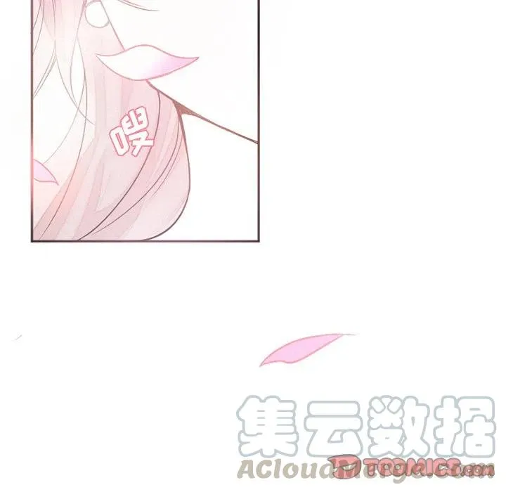 41 第46页