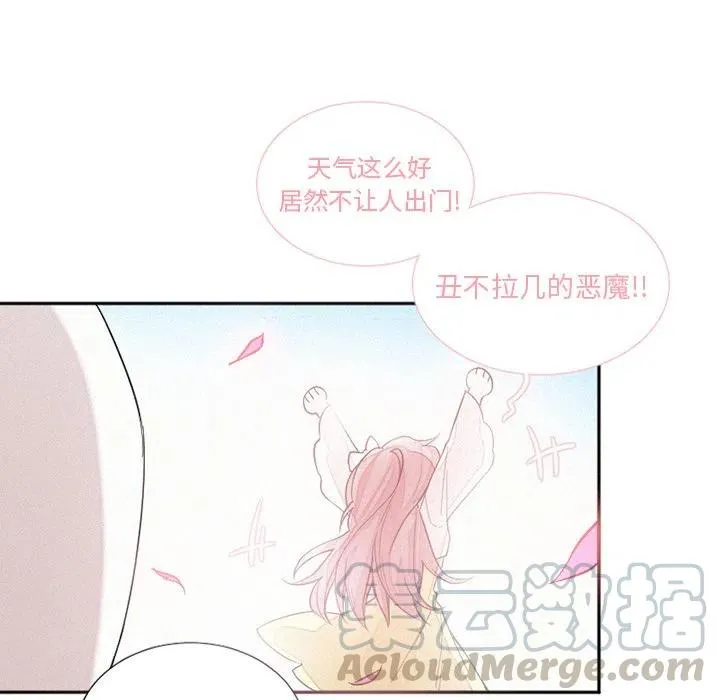 41 第49页