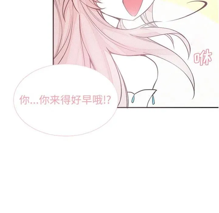 41 第51页