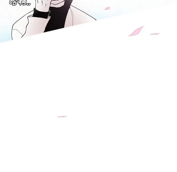 41 第54页