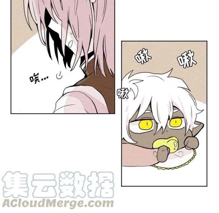 2 第11页
