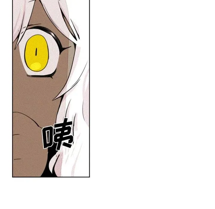 5 第8页