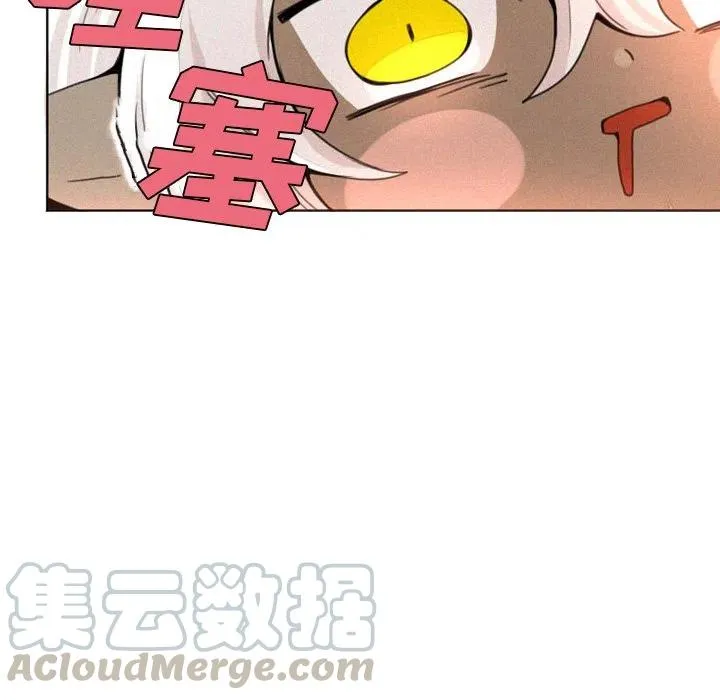 5 第17页