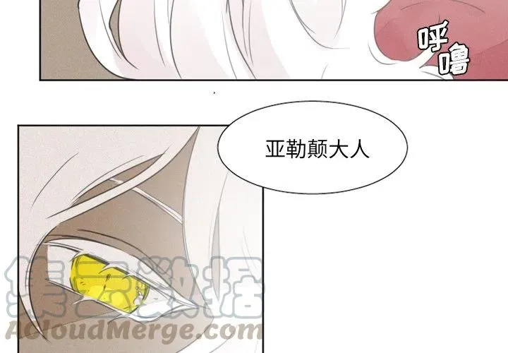 8 第3页