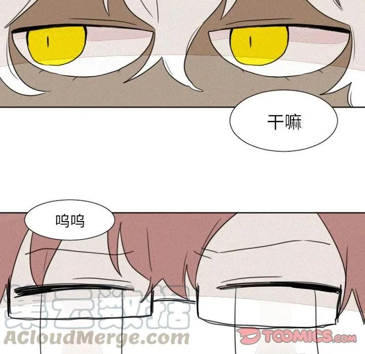 8 第13页