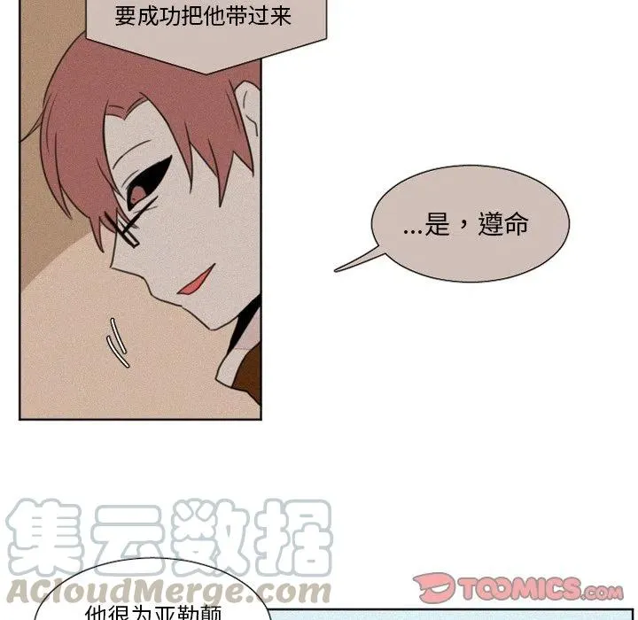 8 第25页