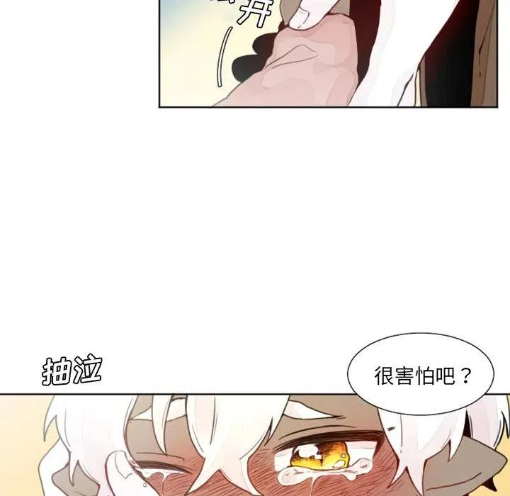 11 第16页