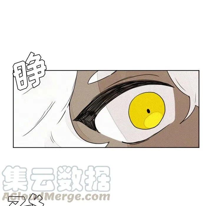13 第13页