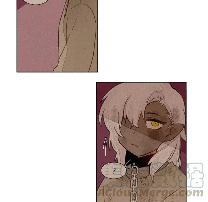 14 第13页