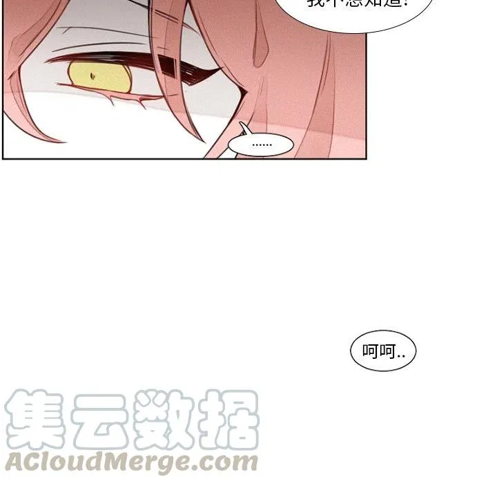 15 第13页