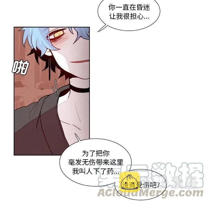 19 第19页