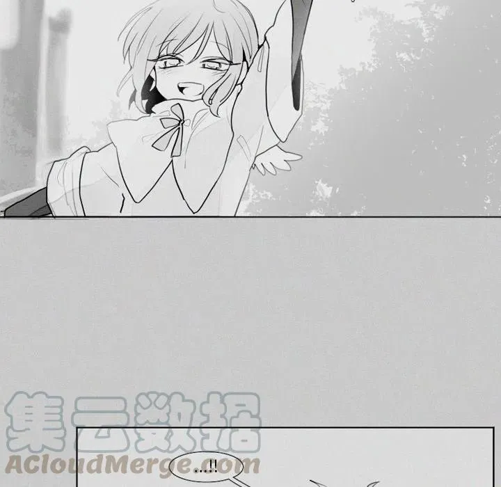 20 第17页