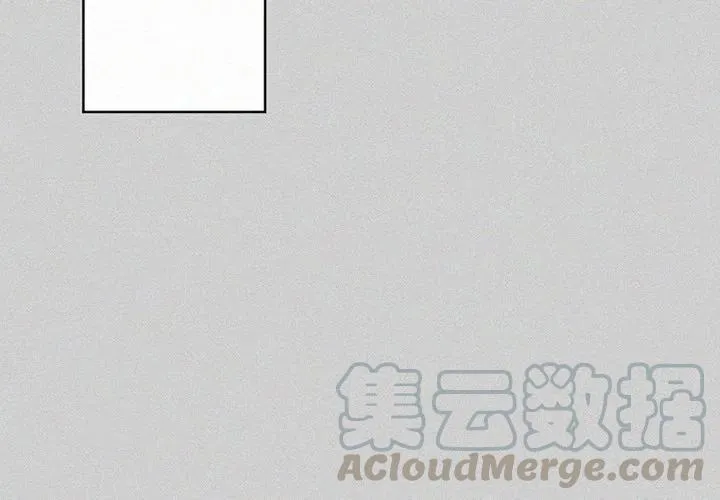 24 第3页