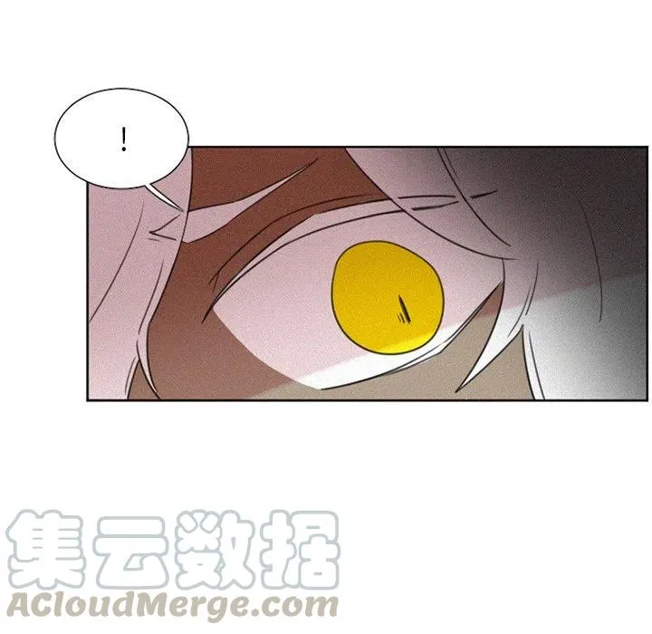 29 第11页