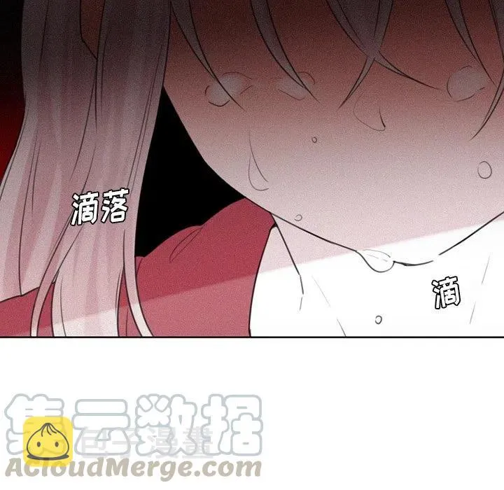 29 第13页